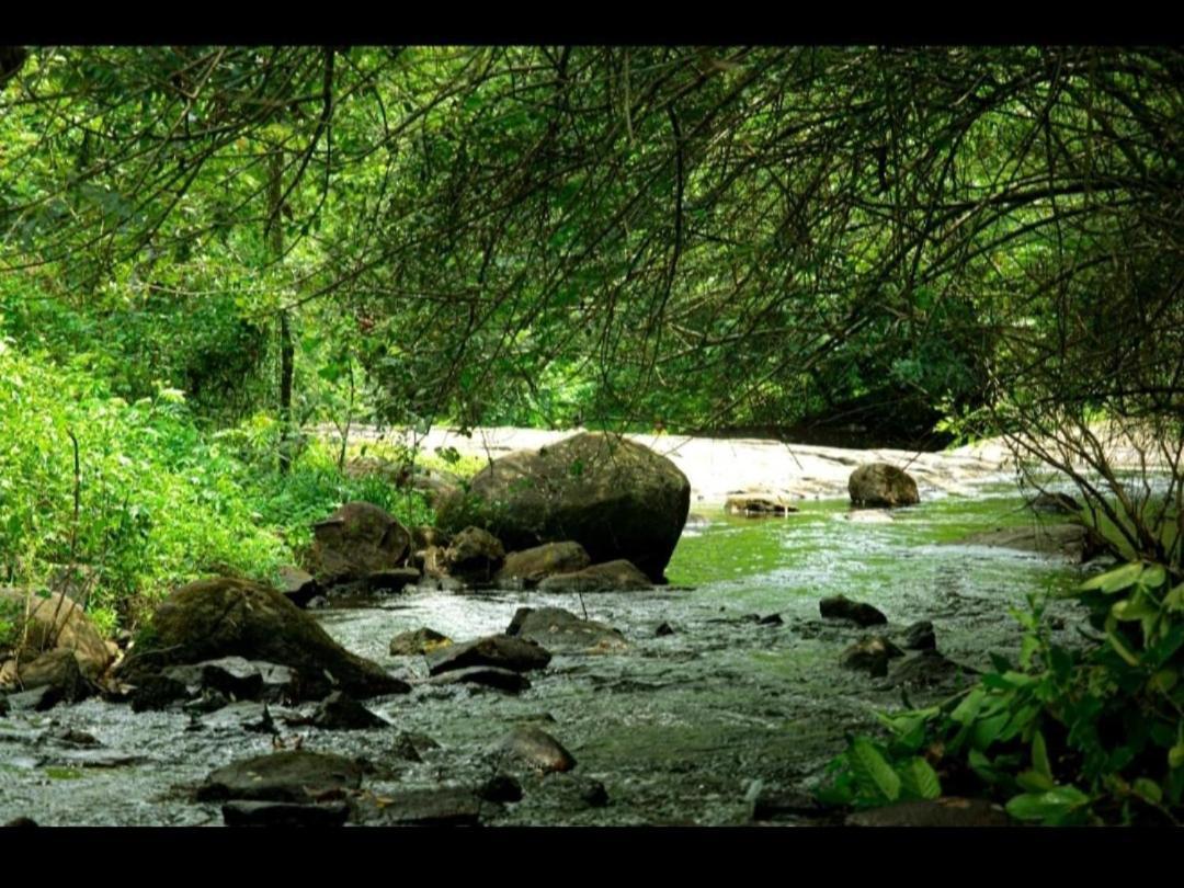 Nest Resorts Athirappilly Esterno foto